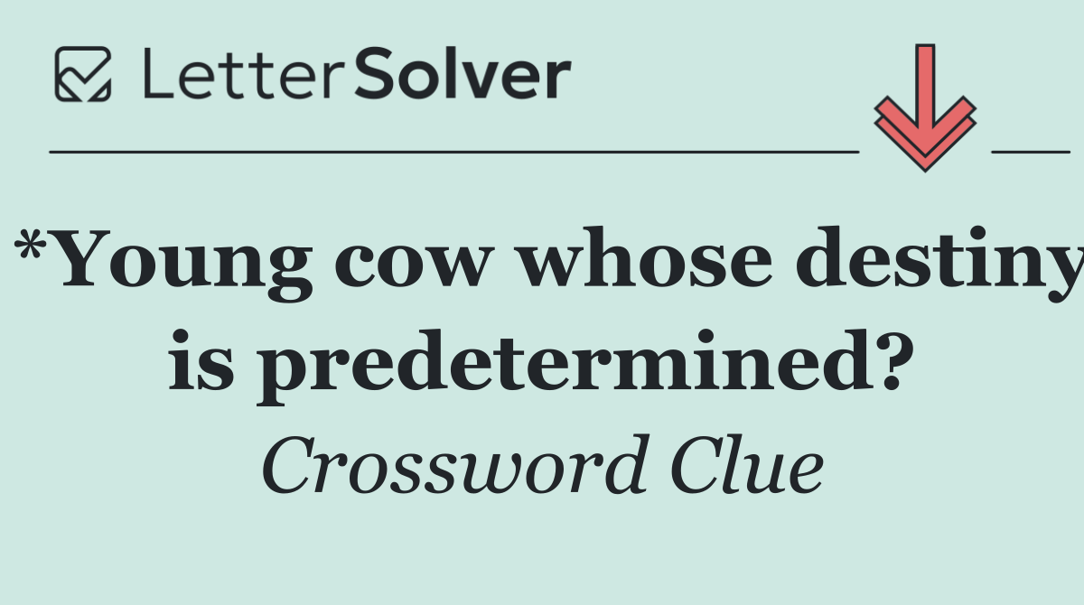 *Young cow whose destiny is predetermined?