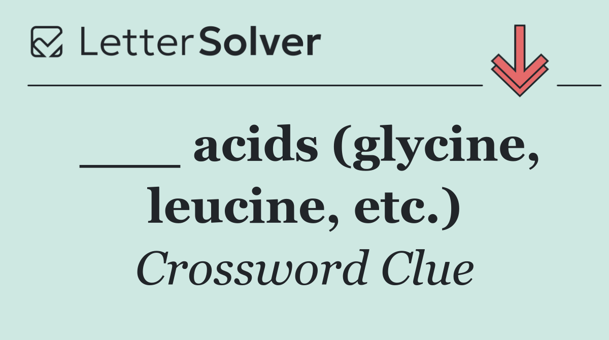 ___ acids (glycine, leucine, etc.)
