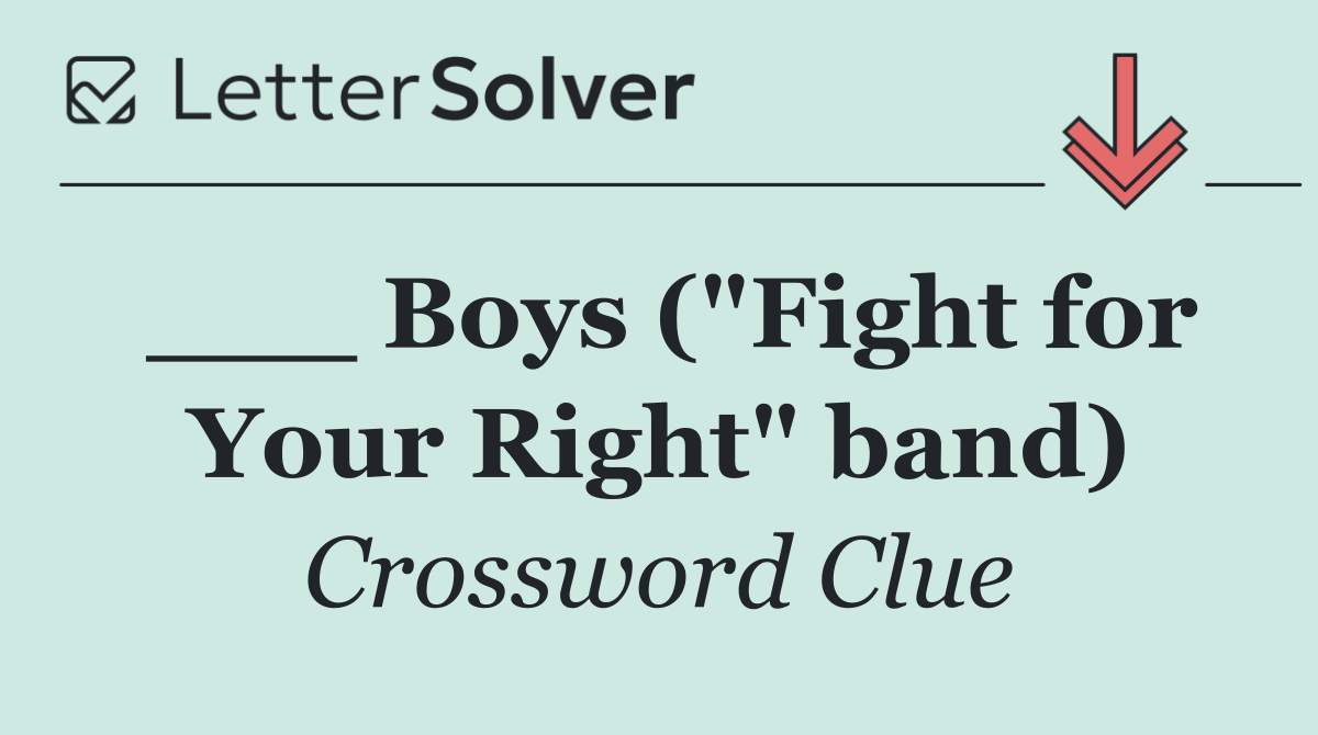 ___ Boys ("Fight for Your Right" band)