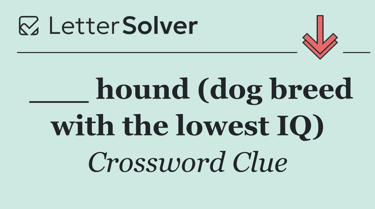 ___ hound (dog breed with the lowest IQ)