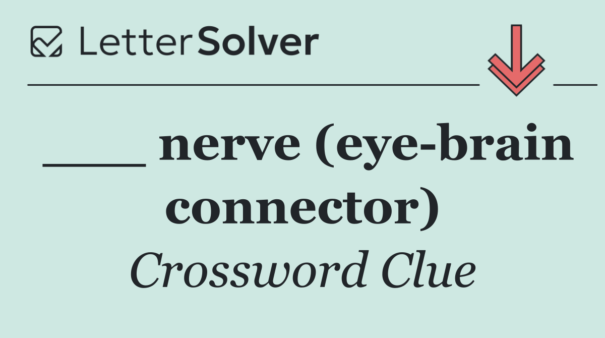 ___ nerve (eye brain connector)