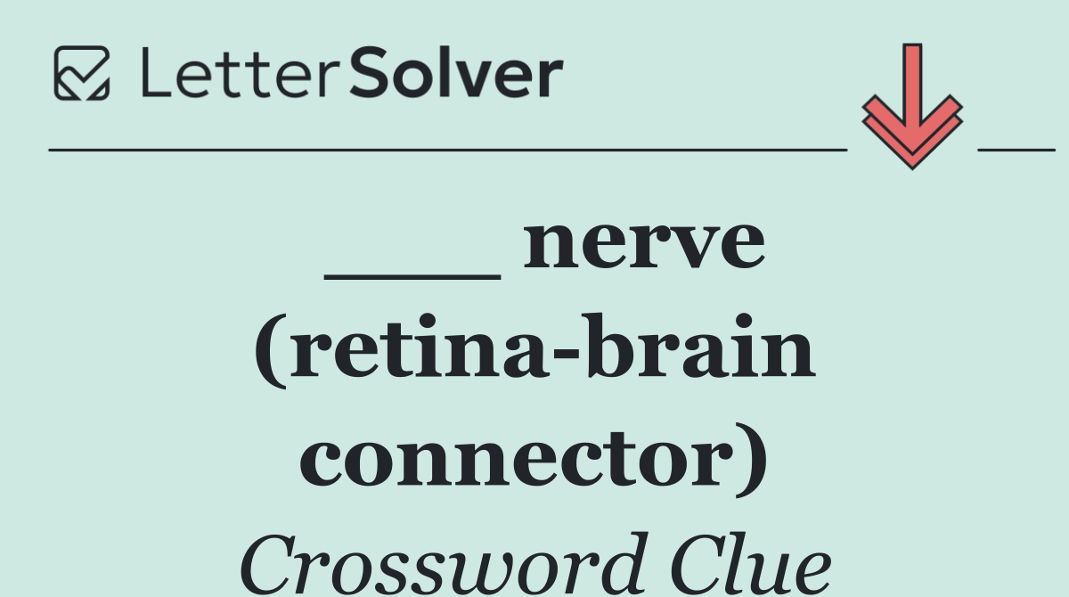___ nerve (retina brain connector)