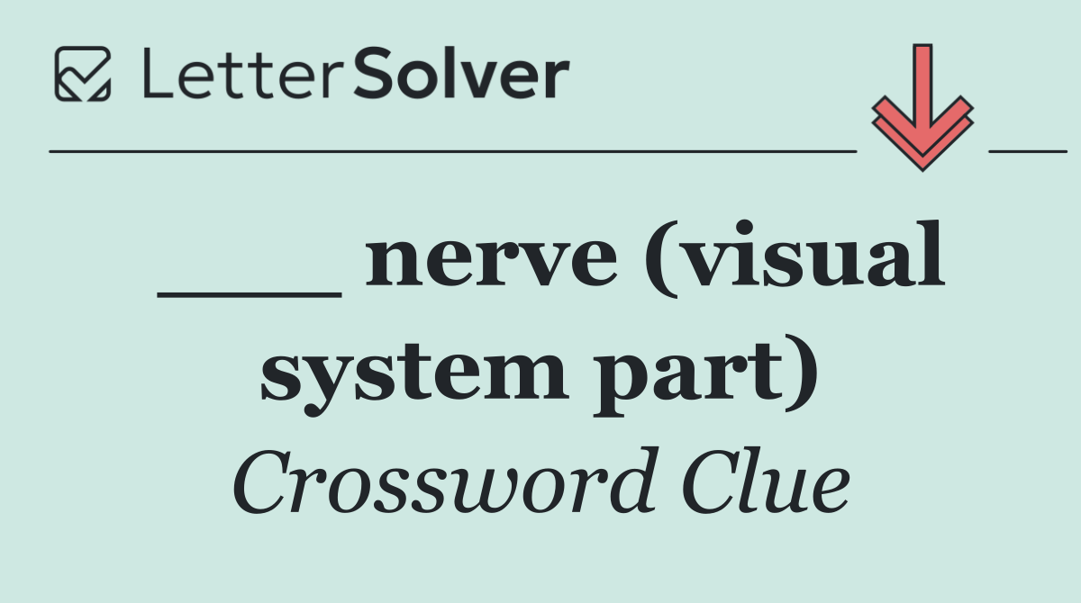 ___ nerve (visual system part)