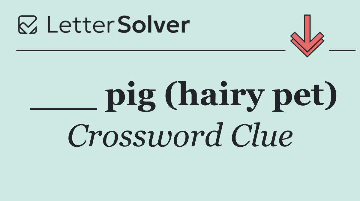 ___ pig (hairy pet)