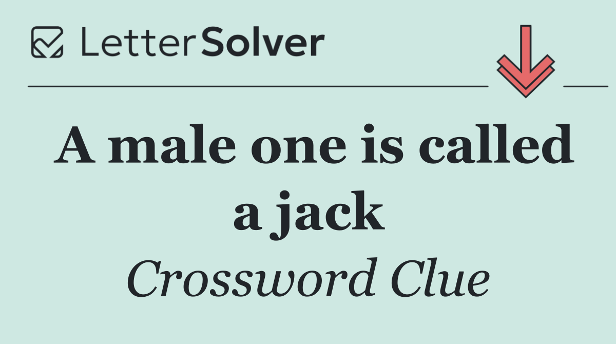 A male one is called a jack