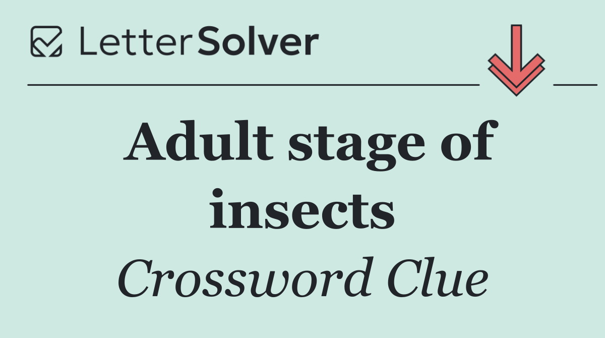 Adult stage of insects