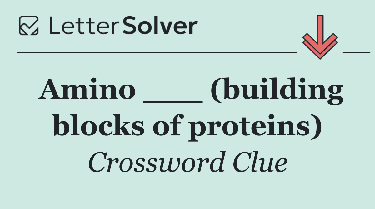 Amino ___ (building blocks of proteins)