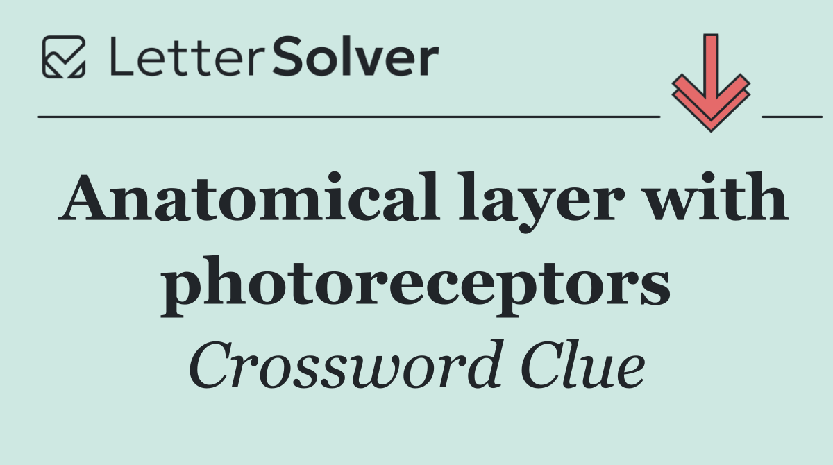 Anatomical layer with photoreceptors