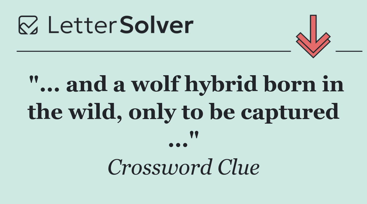 "... and a wolf hybrid born in the wild, only to be captured ..."