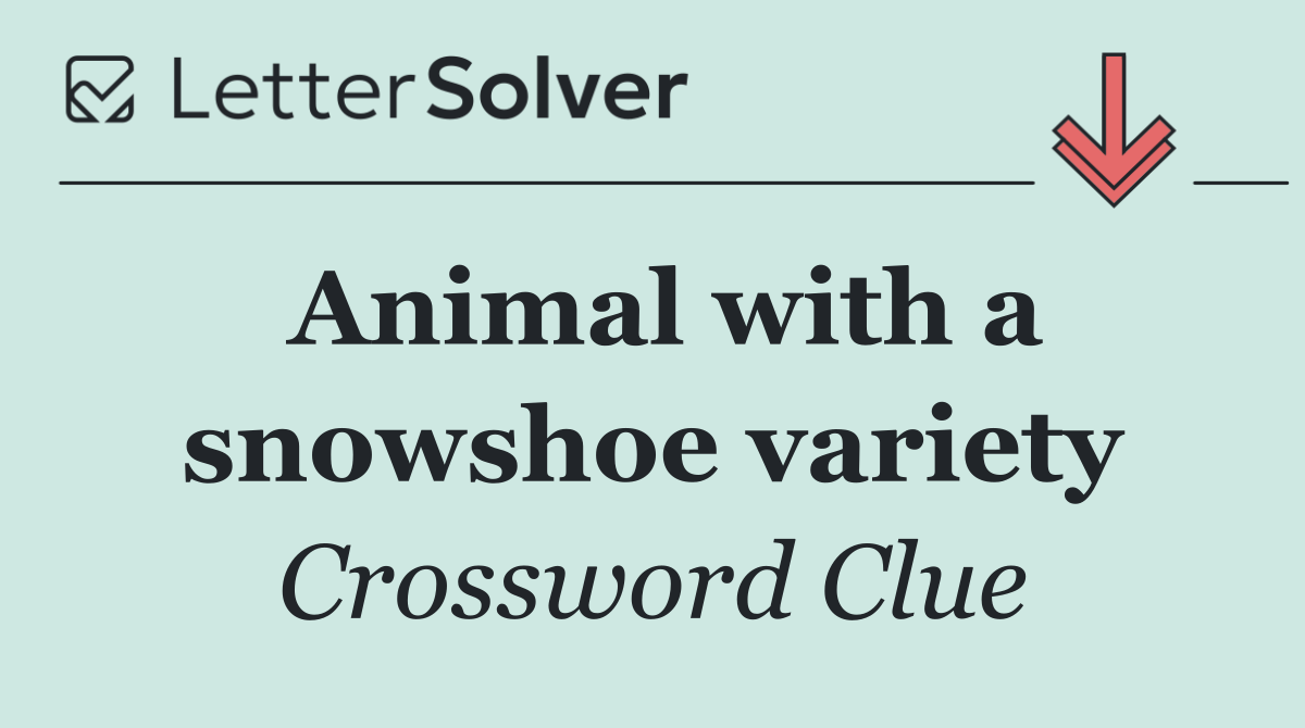 Animal with a snowshoe variety