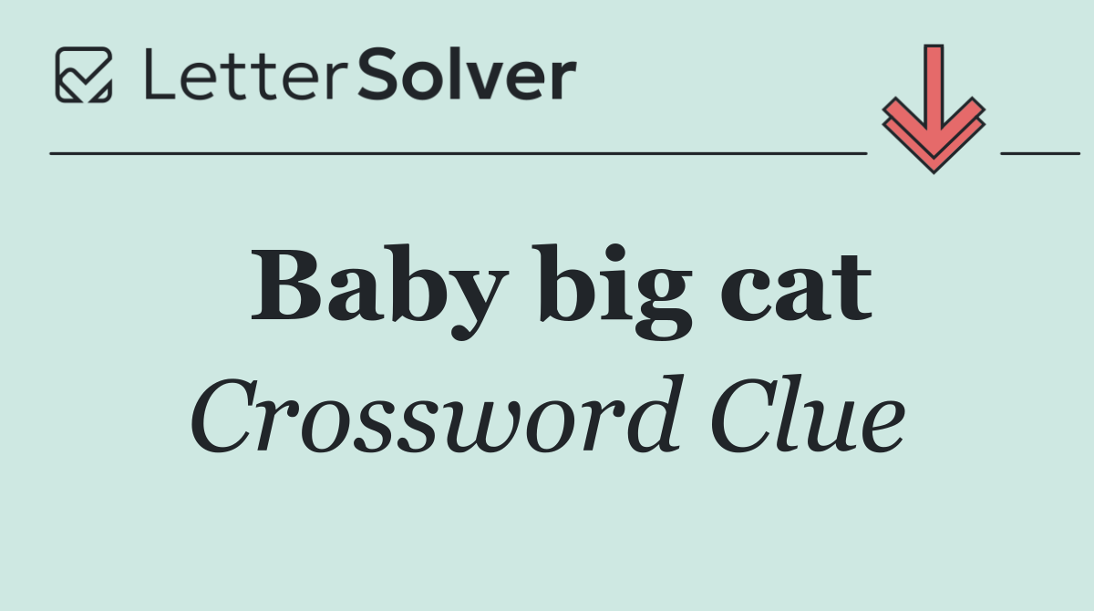Baby big cat