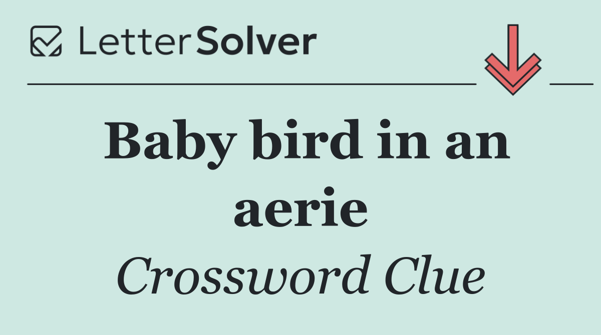 Baby bird in an aerie