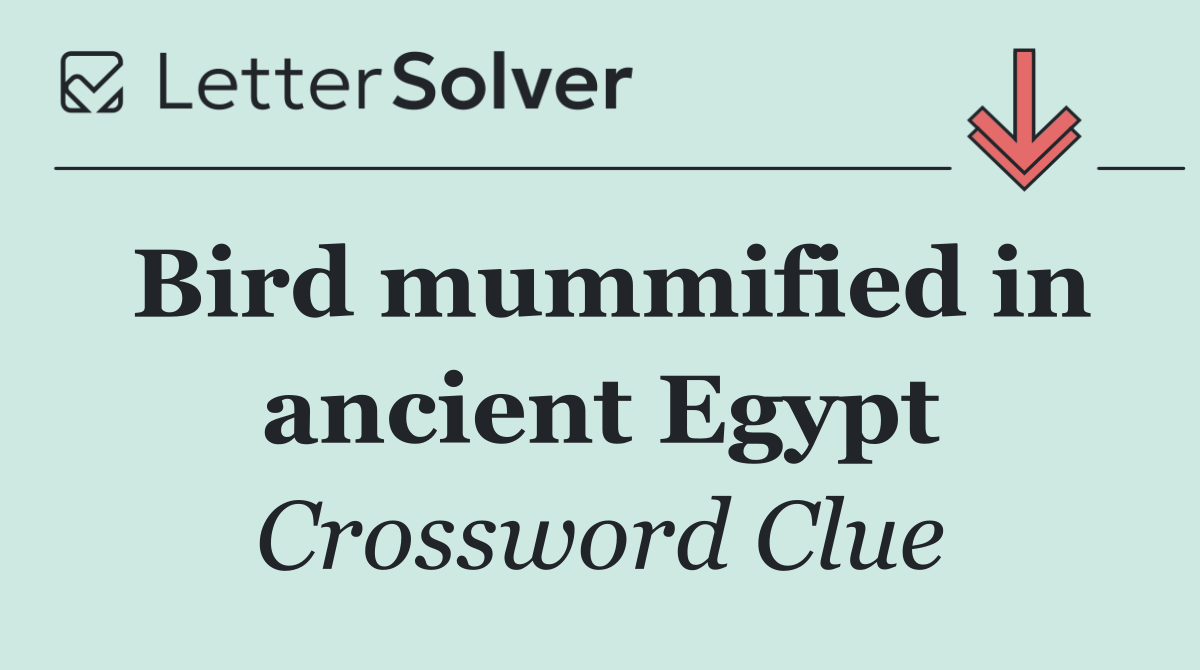 Bird mummified in ancient Egypt