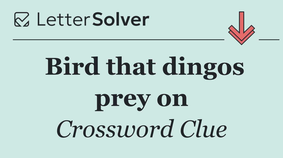 Bird that dingos prey on