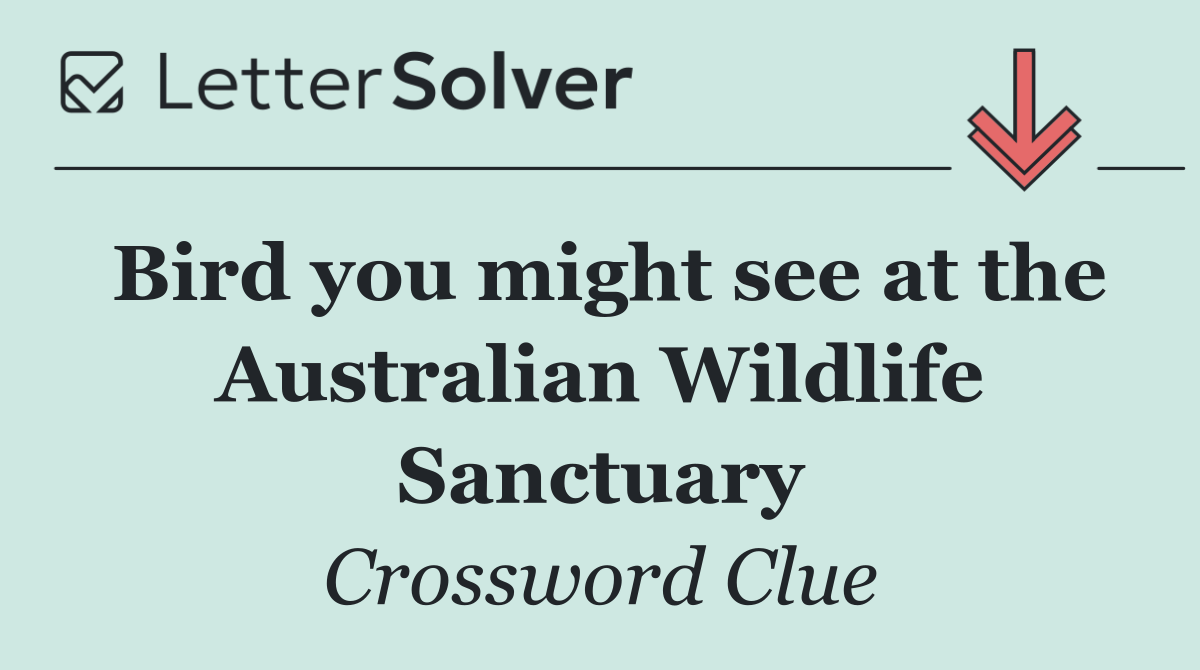Bird you might see at the Australian Wildlife Sanctuary