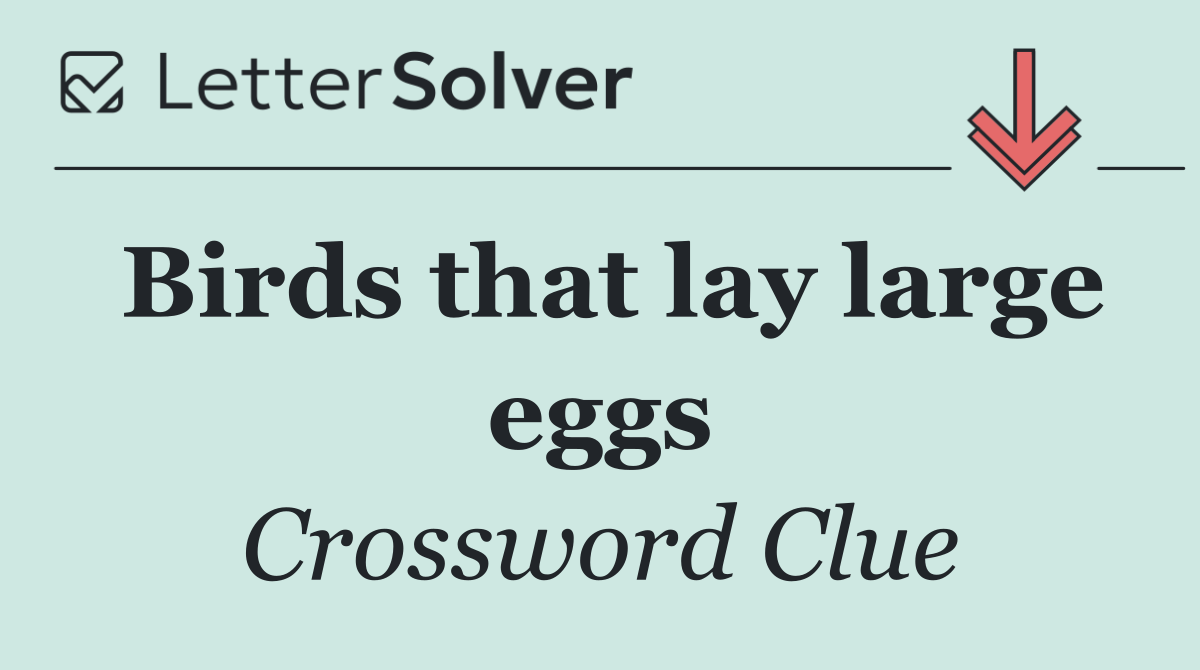 Birds that lay large eggs