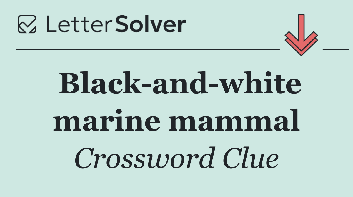 Black and white marine mammal