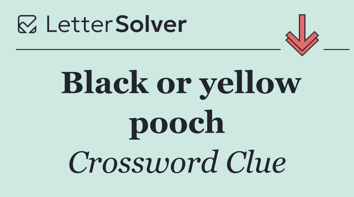 Black or yellow pooch