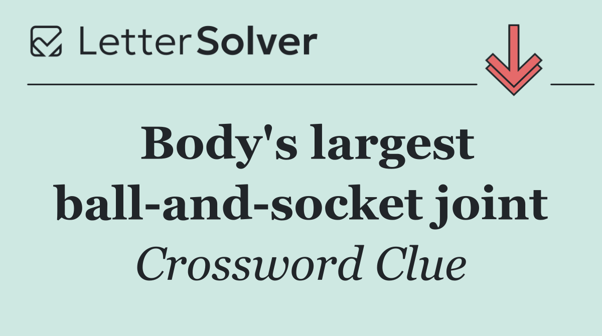 Body's largest ball and socket joint