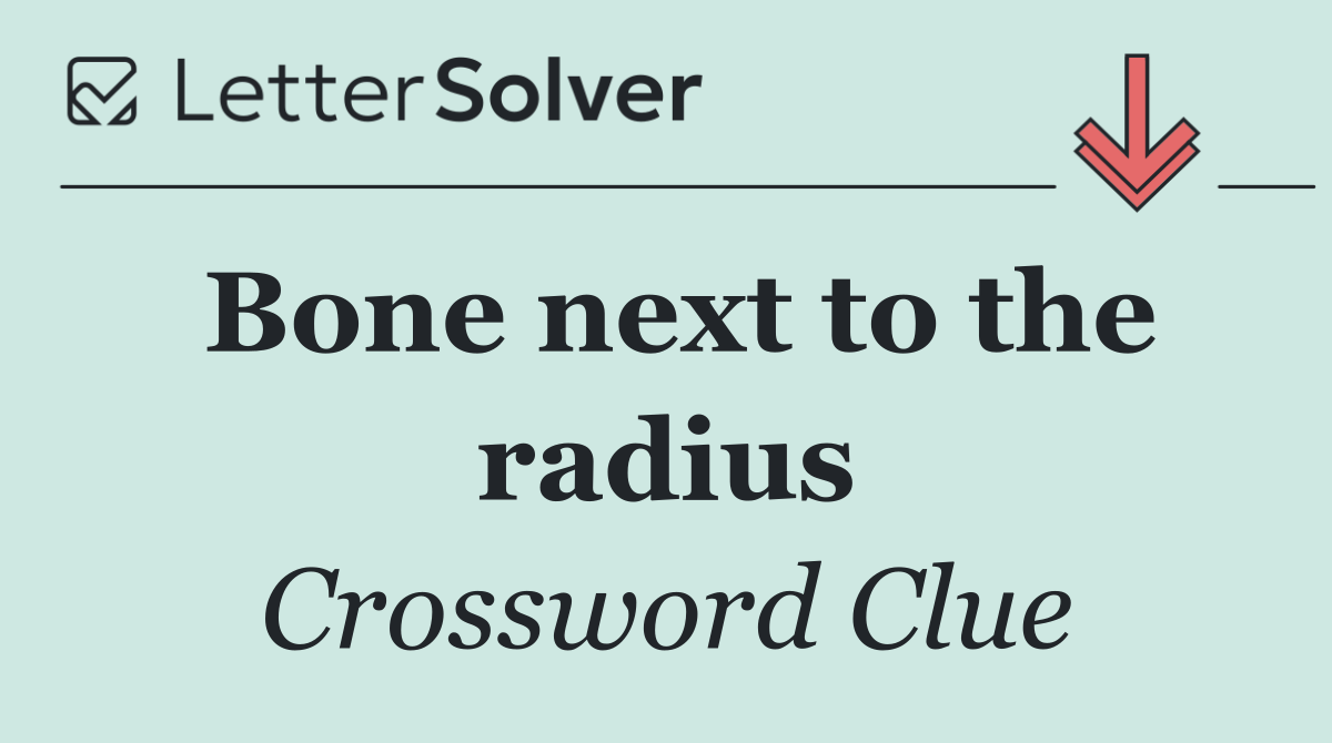Bone next to the radius