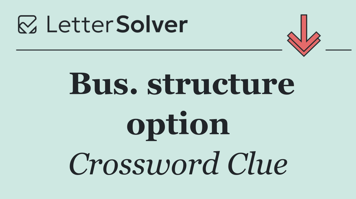 Bus. structure option