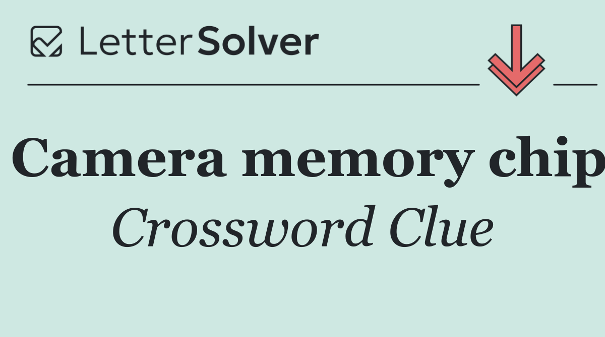 Camera memory chip