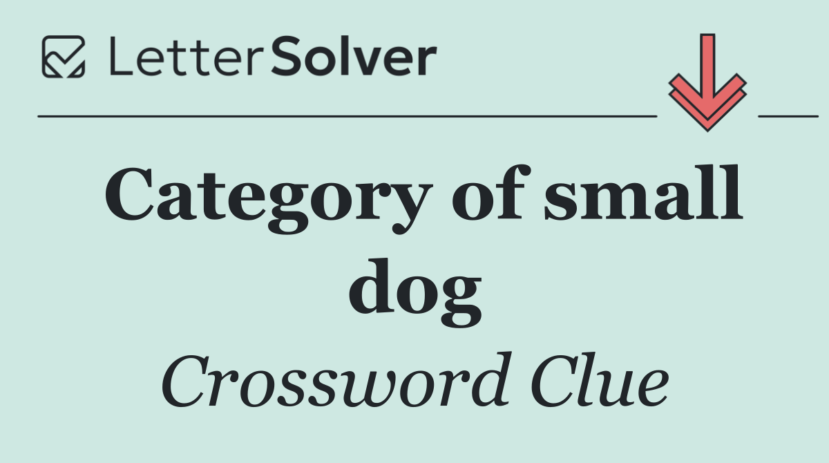 Category of small dog