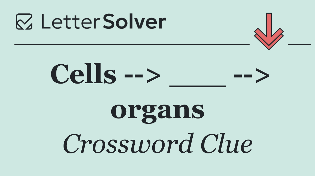 Cells   > ___   > organs