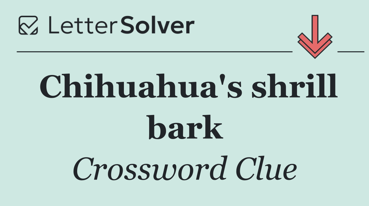Chihuahua's shrill bark
