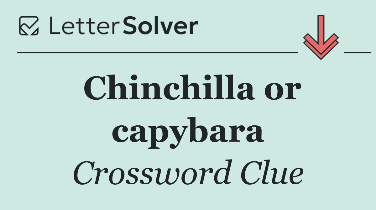 Chinchilla or capybara