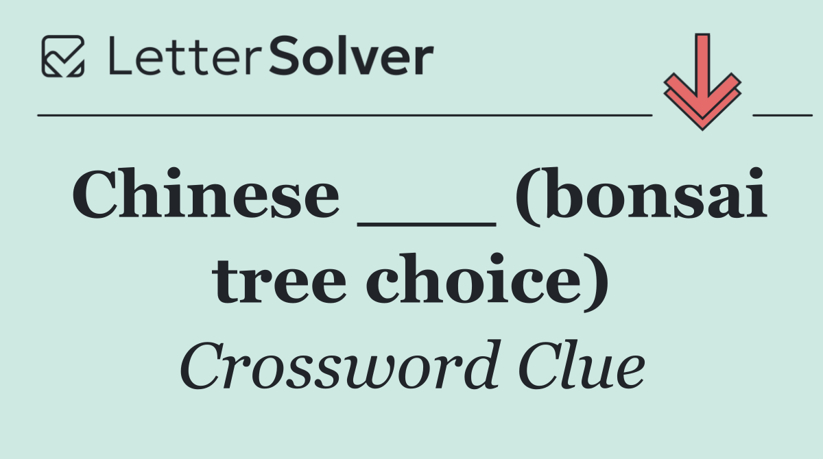 Chinese ___ (bonsai tree choice)