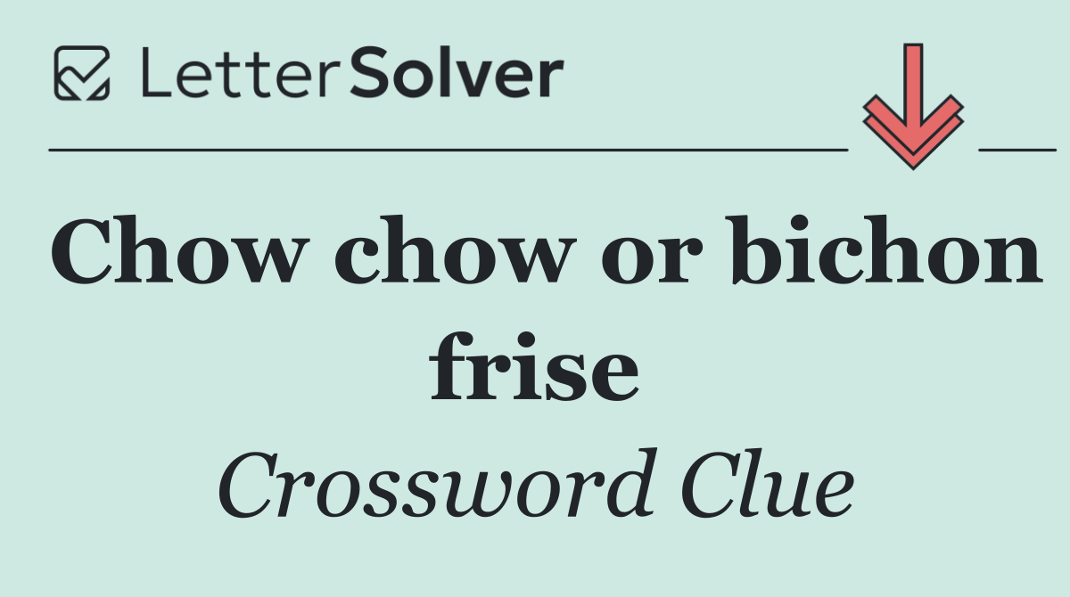 Chow chow or bichon frise
