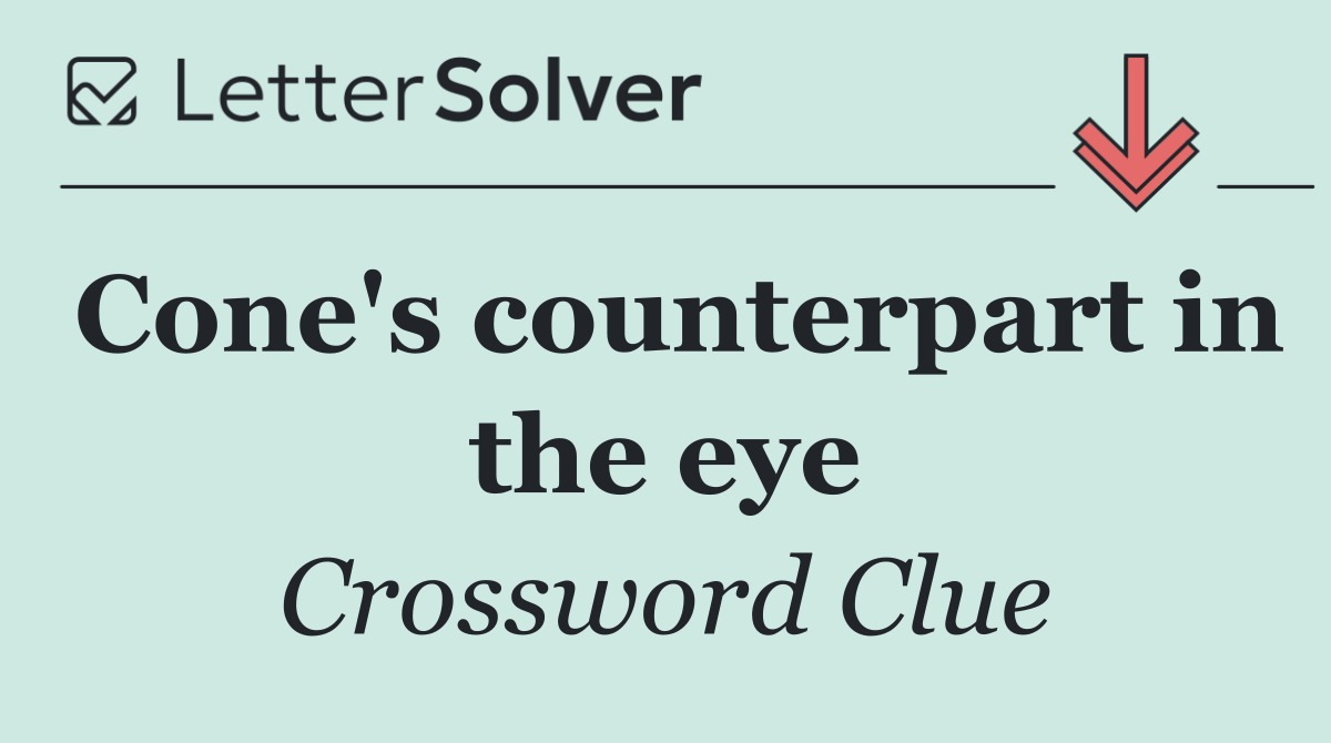 Cone's counterpart in the eye