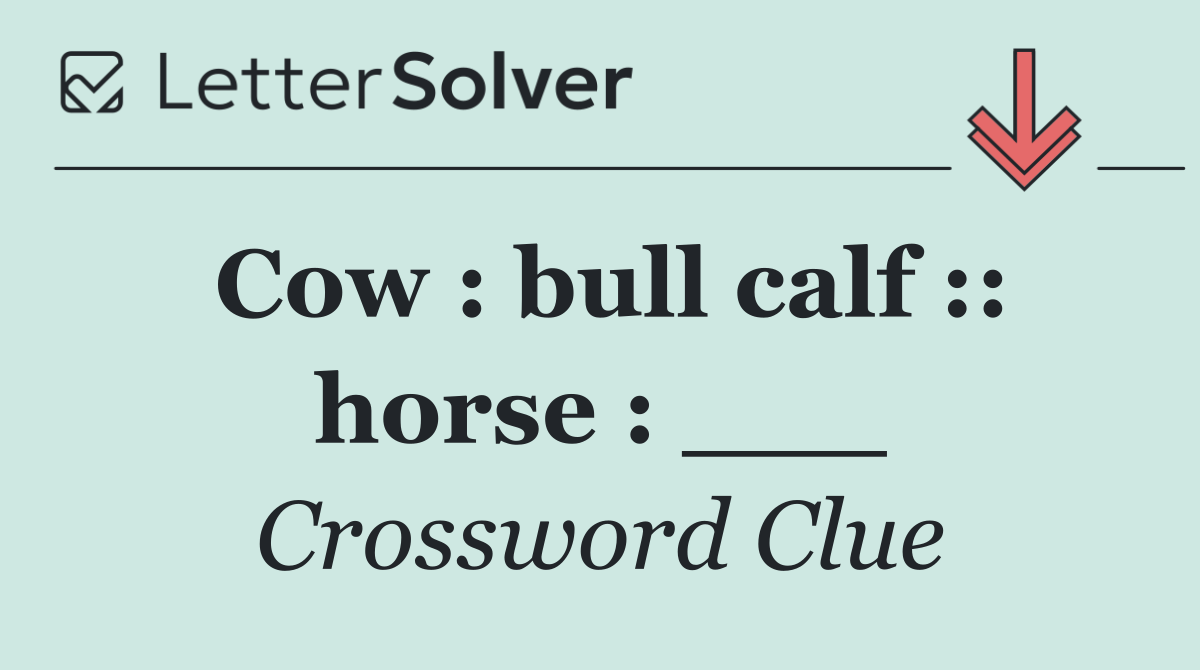 Cow : bull calf :: horse : ___