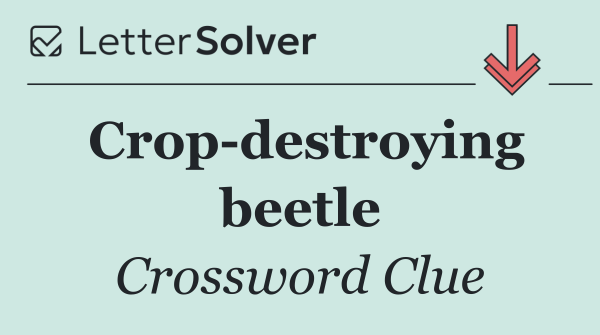 Crop destroying beetle
