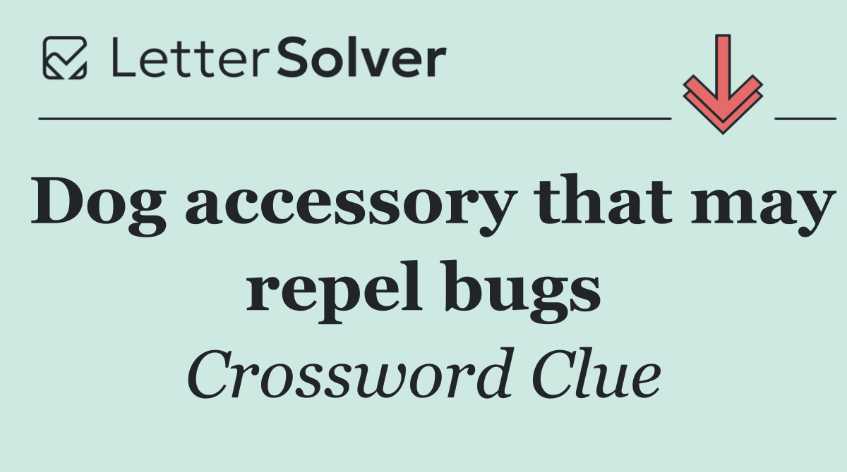 Dog accessory that may repel bugs