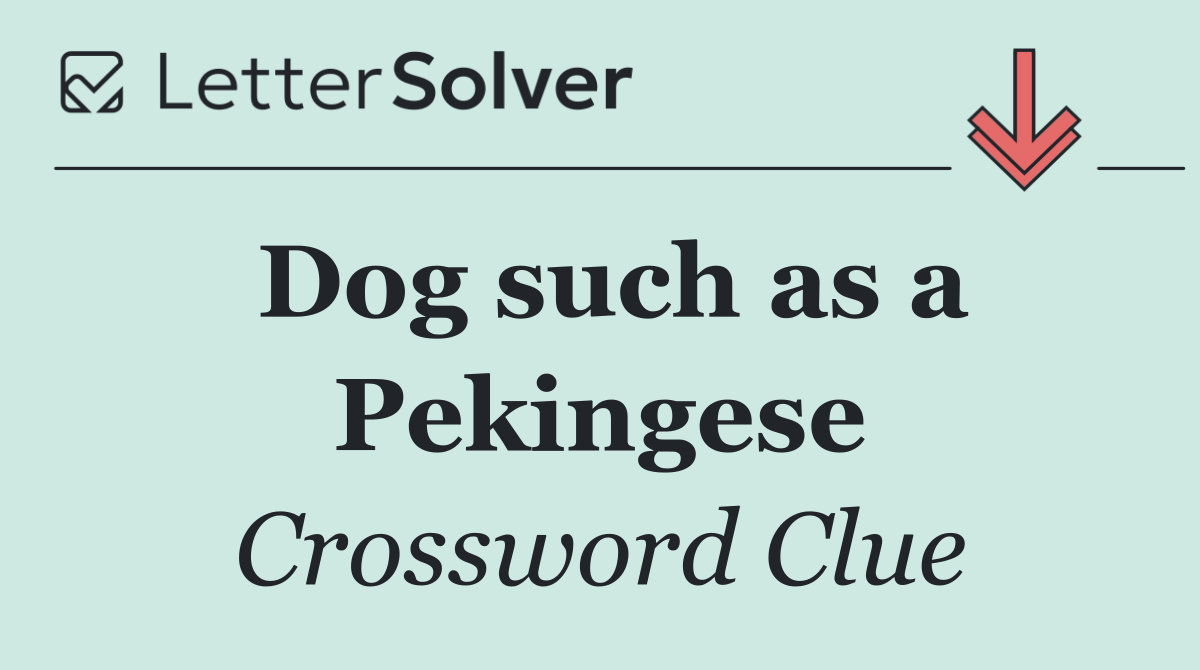 Dog such as a Pekingese
