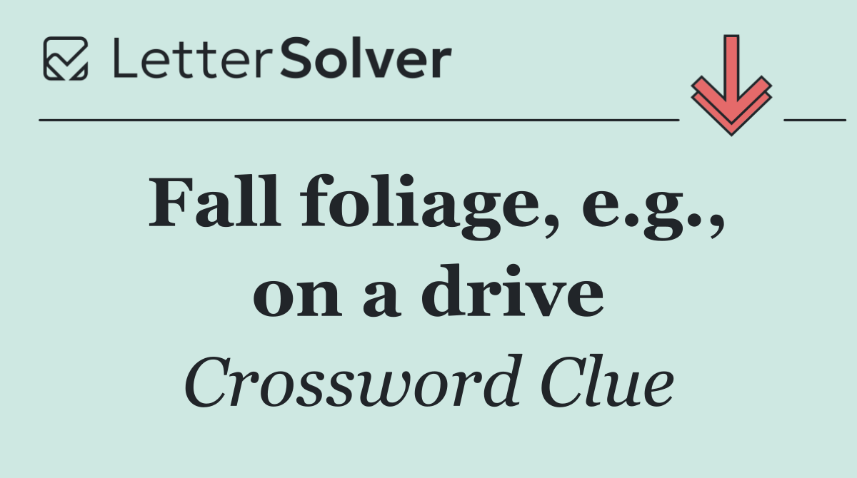 Fall foliage, e.g., on a drive