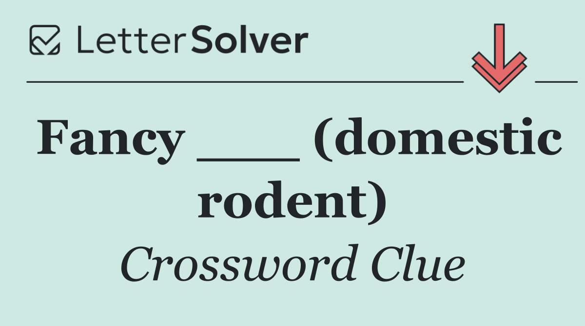 Fancy ___ (domestic rodent)