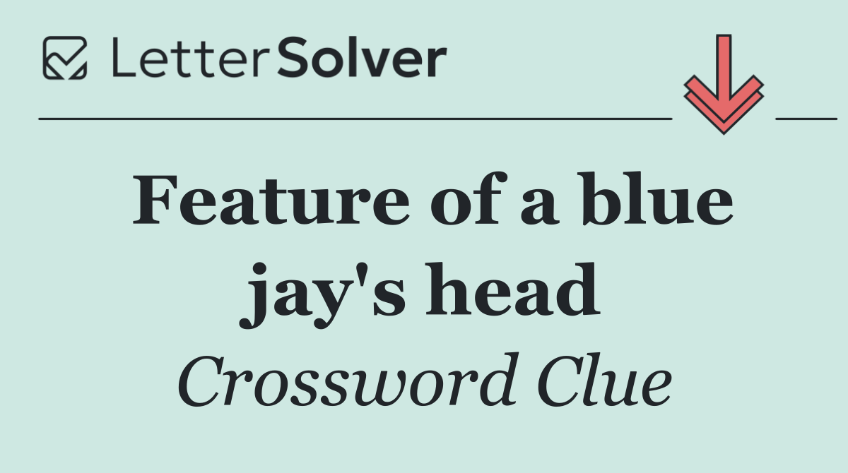 Feature of a blue jay's head