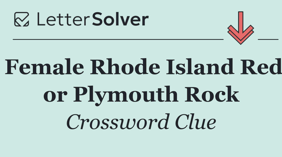 Female Rhode Island Red or Plymouth Rock