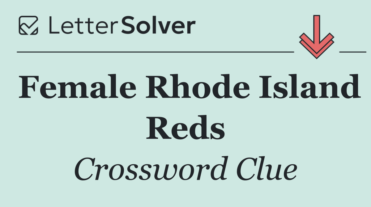Female Rhode Island Reds