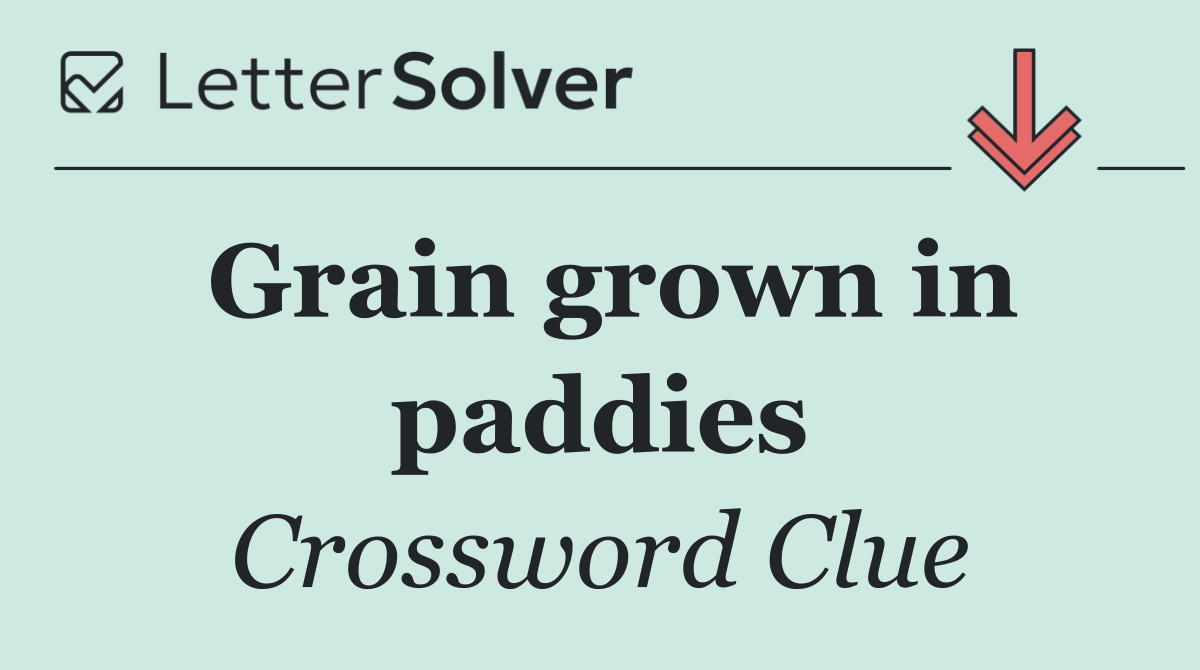 Grain grown in paddies