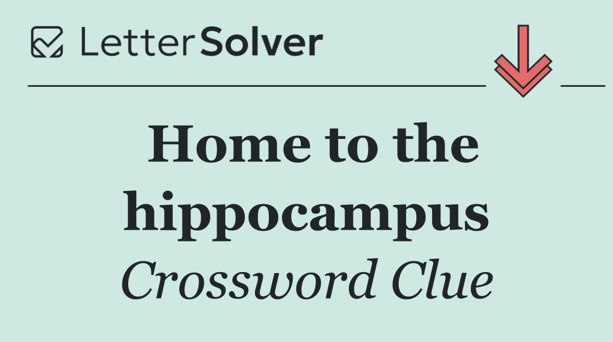 Home to the hippocampus