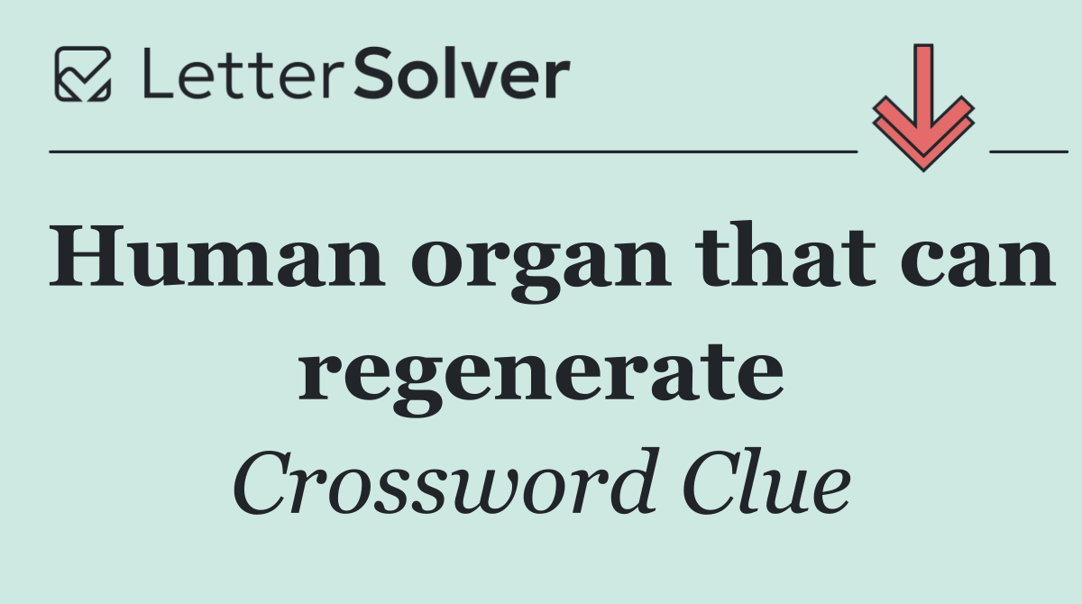 Human organ that can regenerate
