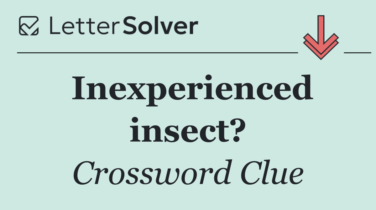 Inexperienced insect?