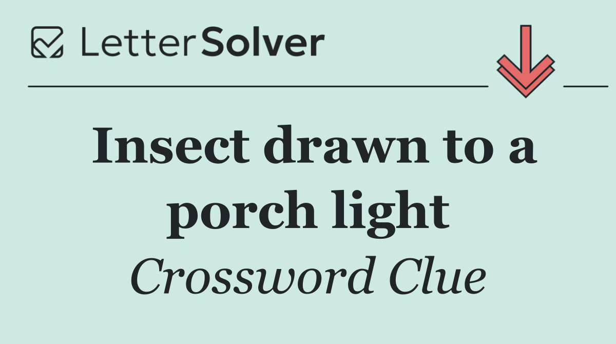 Insect drawn to a porch light