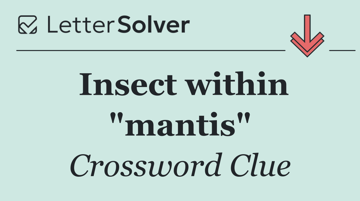 Insect within "mantis"