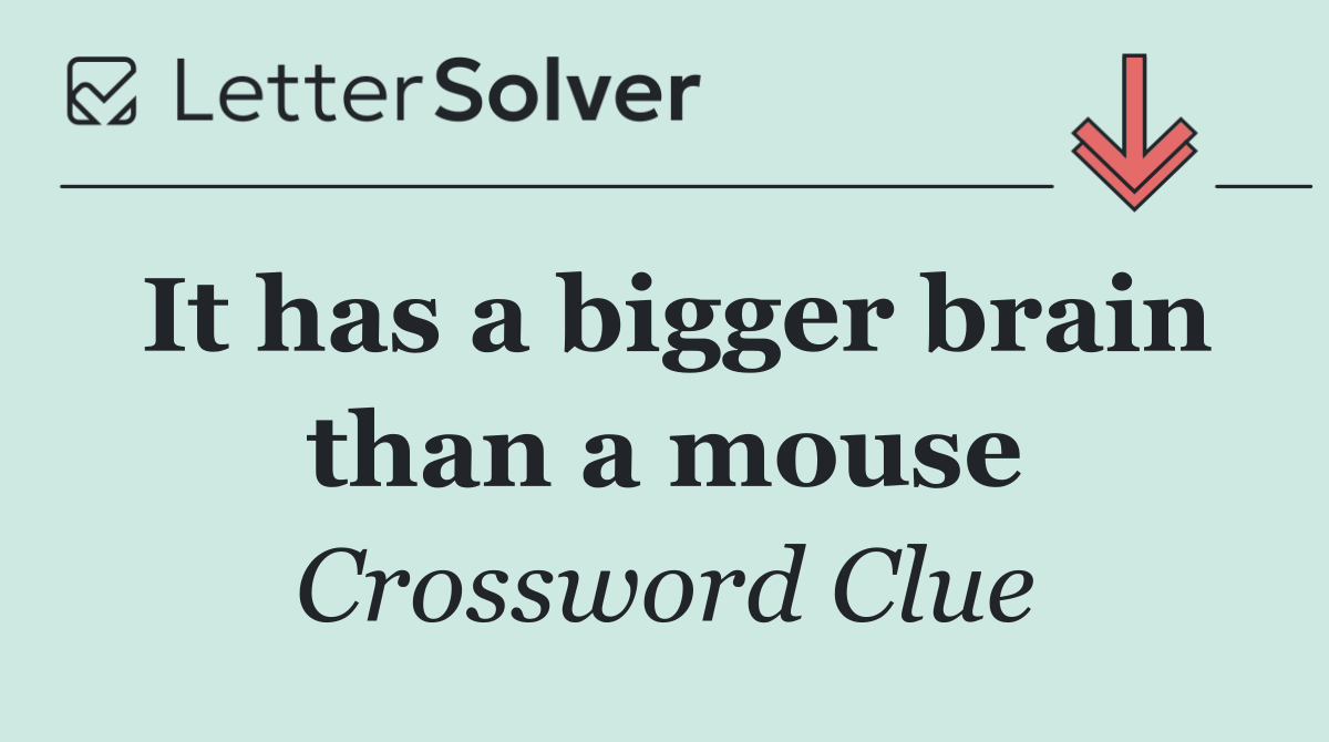 It has a bigger brain than a mouse