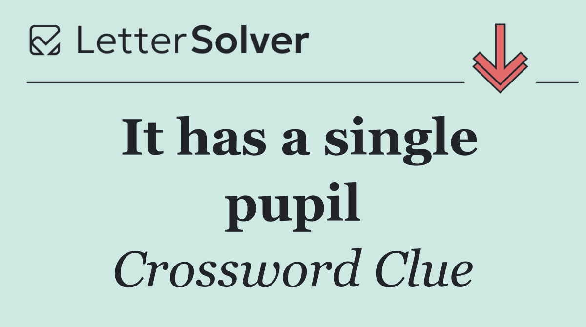 It has a single pupil